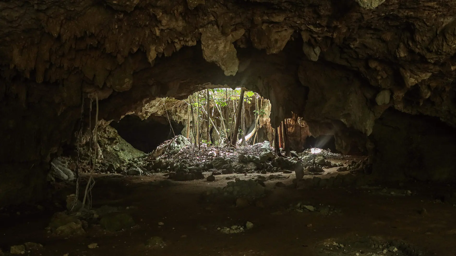 Cuevas-Garra del Jaguar-Suelo Carstico-Cenotes-Tren Maya (6)